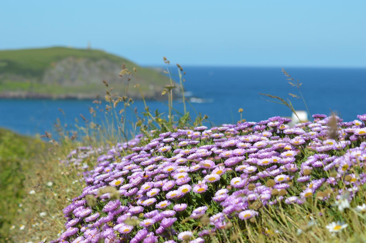 St Moritz Hotel And Cowshed Spa Polzeath Extérieur photo